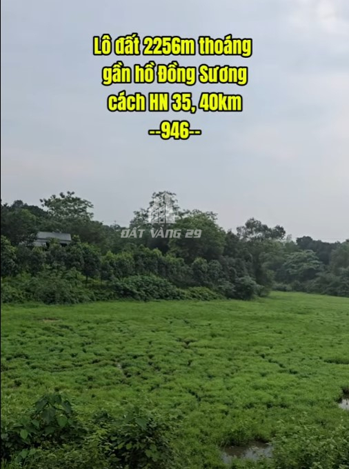 Bán đất Đồng Sương Lương Sơn 2.256m² | Mặt tiền 38m | Gần đường mòn Hồ Chí Minh