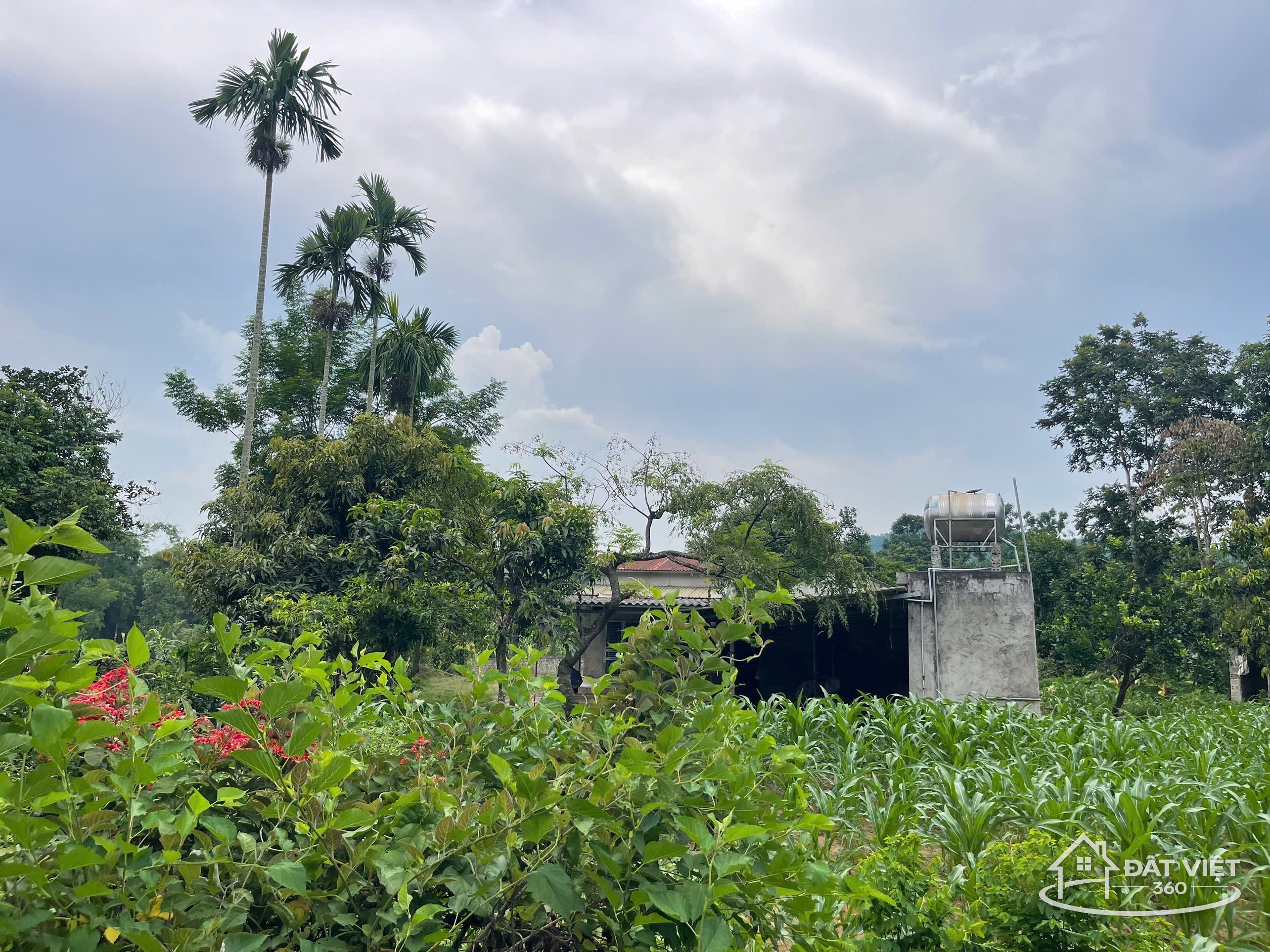 BÁN LÔ ĐẤT VIEW ĐẸP – HƯNG THI, LẠC THỦY, HÒA BÌNH (gần Phú Thọ)